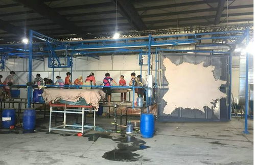 陕西晾挂线革新者 东瑞机械为皮革生产带来的高效新选择